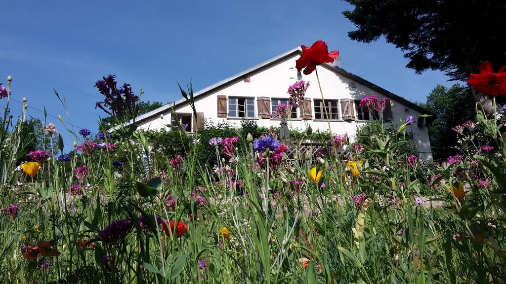 Chambre&Table D'Hotes Ptitmonde Bed & Breakfast Ban-sur-Meurthe-Clefcy Exterior foto