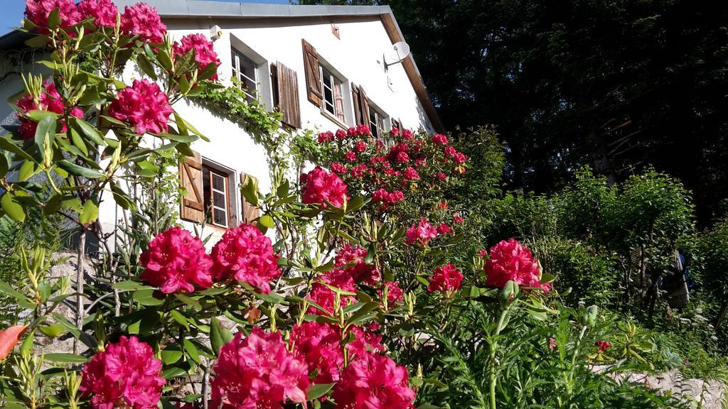 Chambre&Table D'Hotes Ptitmonde Bed & Breakfast Ban-sur-Meurthe-Clefcy Exterior foto